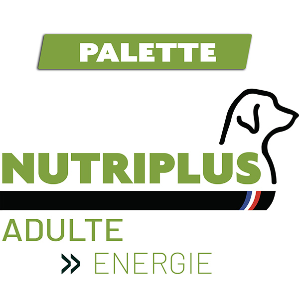 Palette-NURTIplus_adulte_energie_600px
